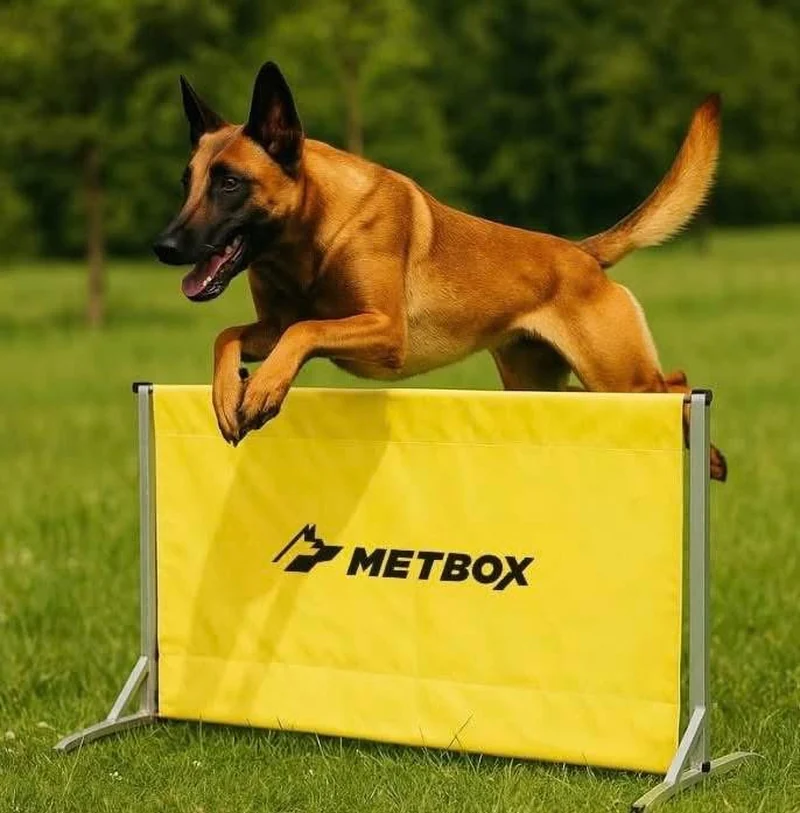 1m hurdle for dog agility training